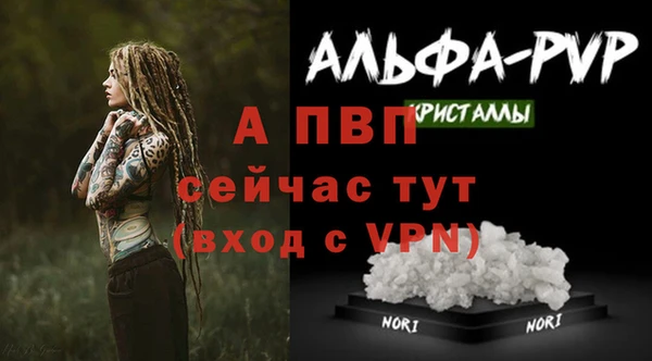 дживик Балахна