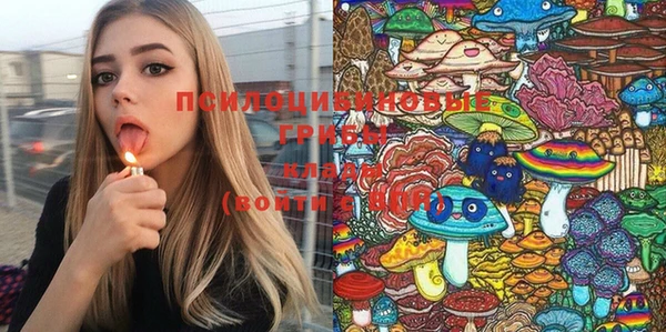 тгк Баксан