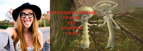 ГАЛЛЮЦИНОГЕННЫЕ ГРИБЫ Балабаново