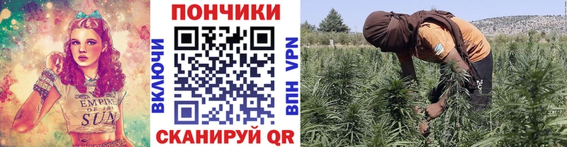 купить закладку  Заволжск  гидра зеркало  Каннабис AK-47 